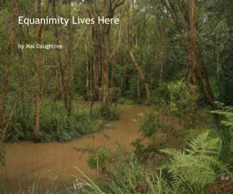 Equanimity Lives Here book cover