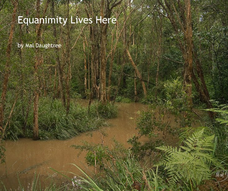 View Equanimity Lives Here by Mal Daughtree