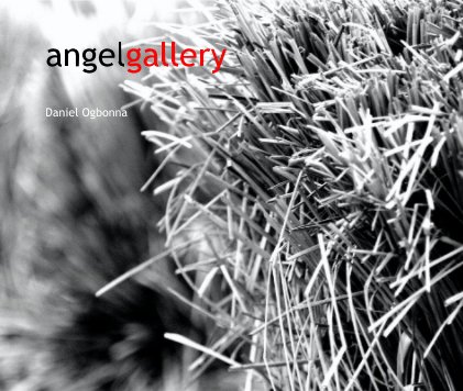 angelgallery book cover