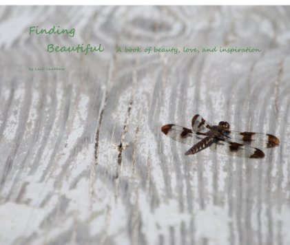 Finding Beautiful A book of beauty, love, and inspiration book cover