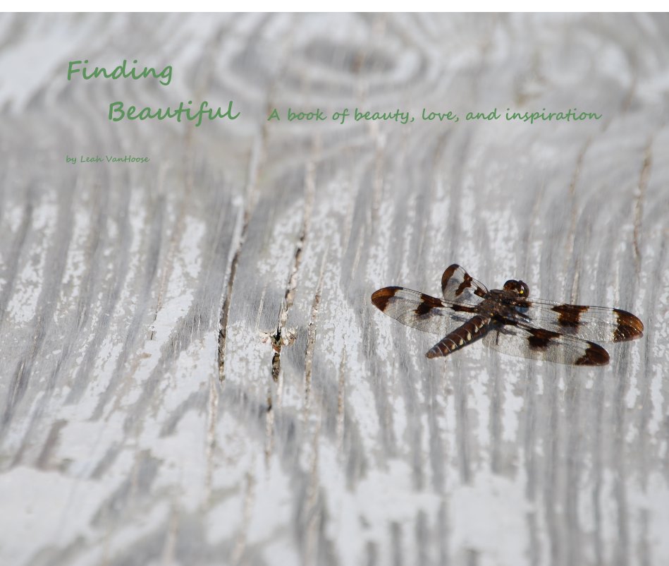 View Finding Beautiful A book of beauty, love, and inspiration by Leah VanHoose