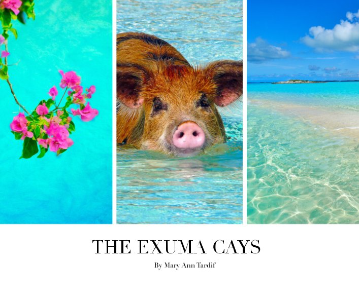 View The Exuma Cays by Mary Ann Tardif