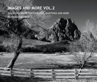 IMAGES AND MORE VOL.2 book cover