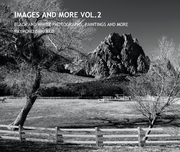 Ver IMAGES AND MORE VOL.2 por RAYMOND BANFIELD