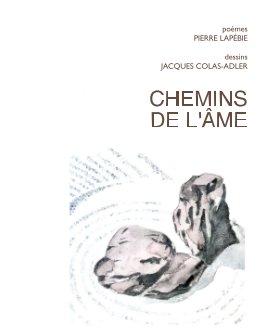 Chemins de L'Ame book cover