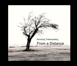 From a Distance book cover