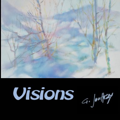 Visions Gisèle Jouffray book cover