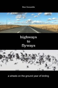 highways to flyways book cover
