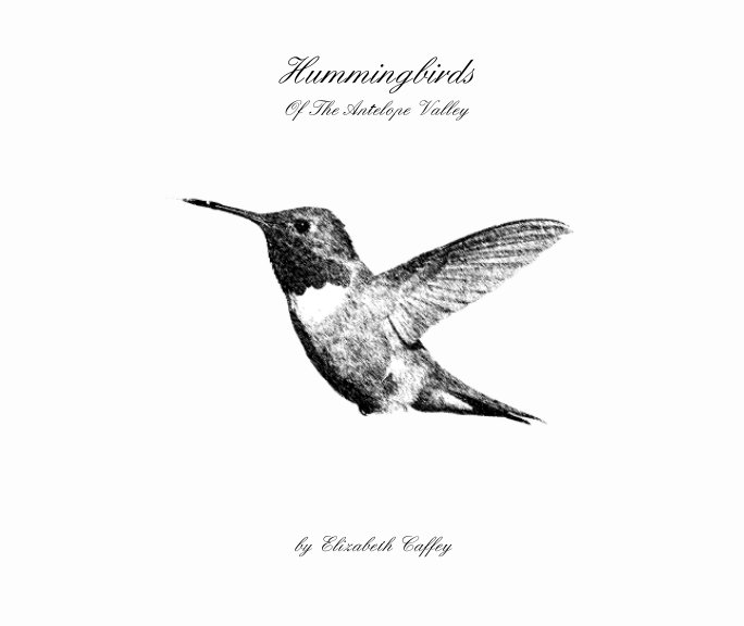 View Hummingbirds Of The Antelope Valley by Elizabeth Caffey
