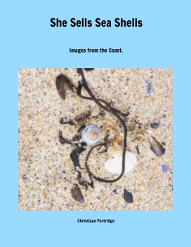 She Sells Sea Shells book cover
