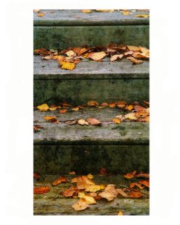 Autumn Leaves Blank Journal book cover
