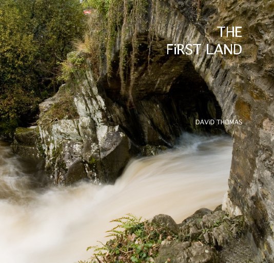 View The First Land by David Thomas