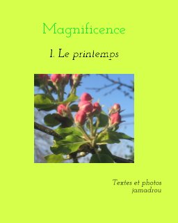 Magnificence book cover