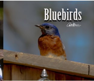 Bluebirds book cover