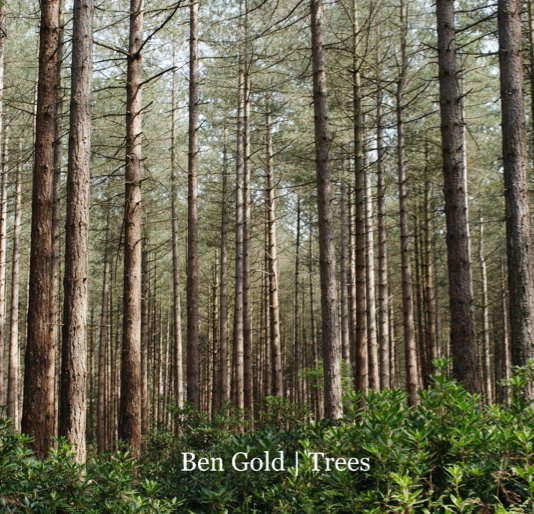 View A mini Journey through trees by Ben Gold