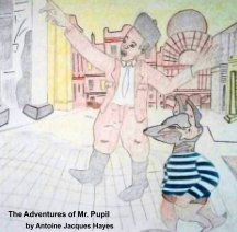 The Adventures of Mr. Pupil book cover