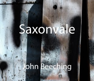 Saxonvale book cover