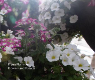 Flowers and Foliage book cover