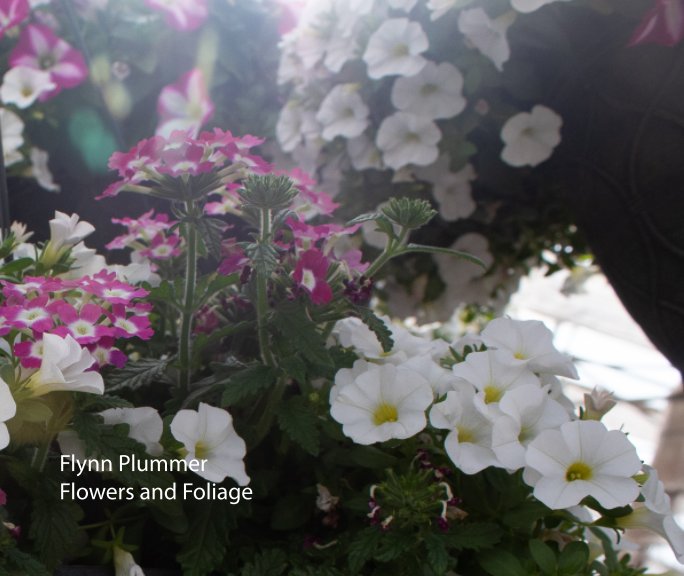 View Flowers and Foliage by Flynn Plummer