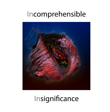 Incomprehensible Insignificance book cover