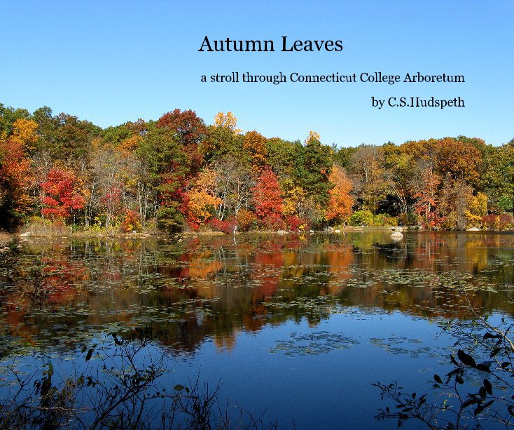Ver Autumn Leaves por CSHudspeth