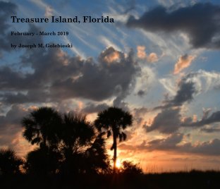 Treasure Island, Florida 2019 book cover