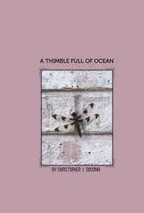 A Thimble Full of Ocean book cover