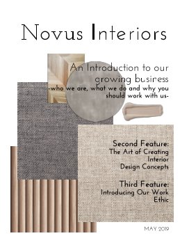 Novus Interiors book cover