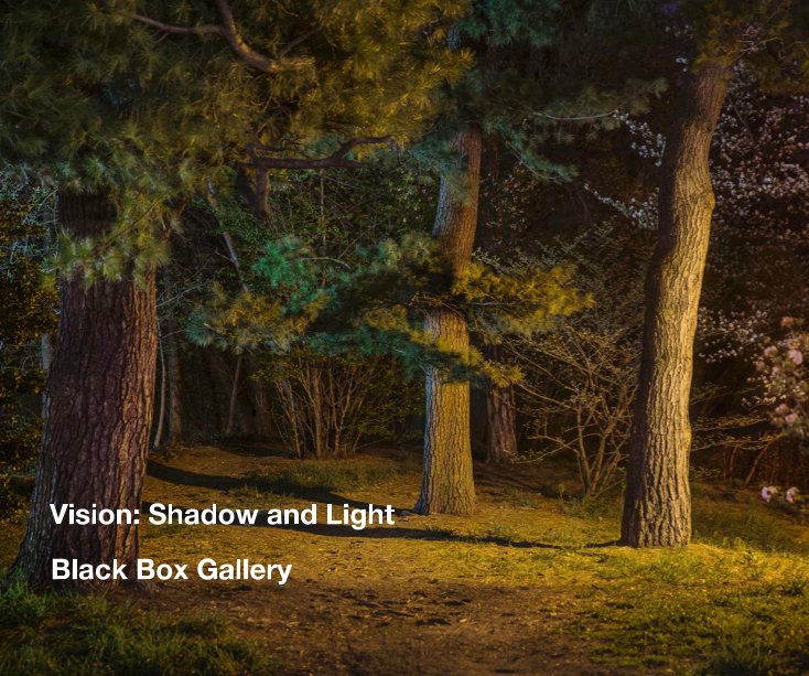 View Vision: Shadow and Light by Black Box Gallery