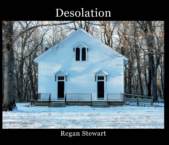 Visualizza Desolation di Regan Stewart