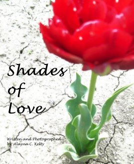 Shades of Love book cover