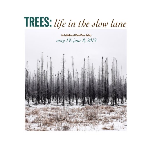 Ver Trees, Life in the Slow Lane, Hardcover Imagewrap por PhotoPlace Gallery