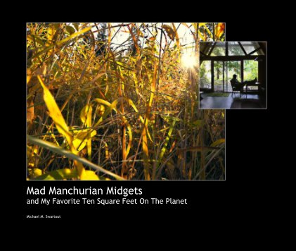 Mad Manchurian Midgets and My Favorite Ten Square Feet On The Planet book cover
