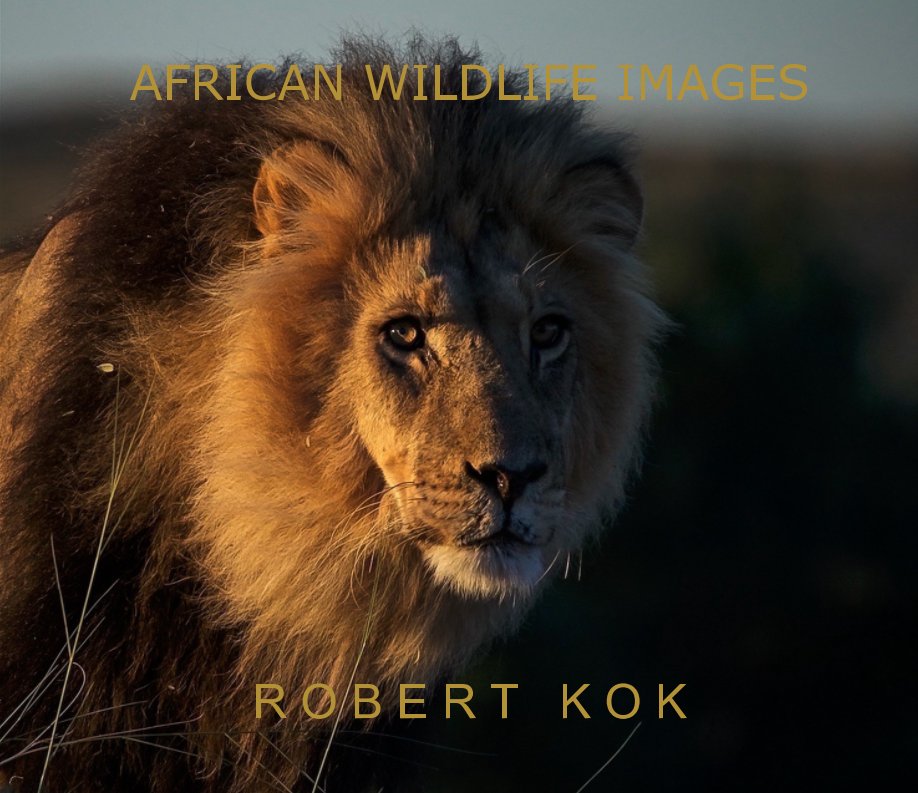 View Wild Images by Robert Kok