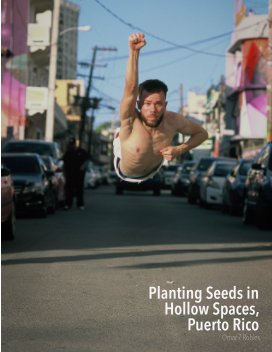 Planting Seeds in Hollow Spaces book cover