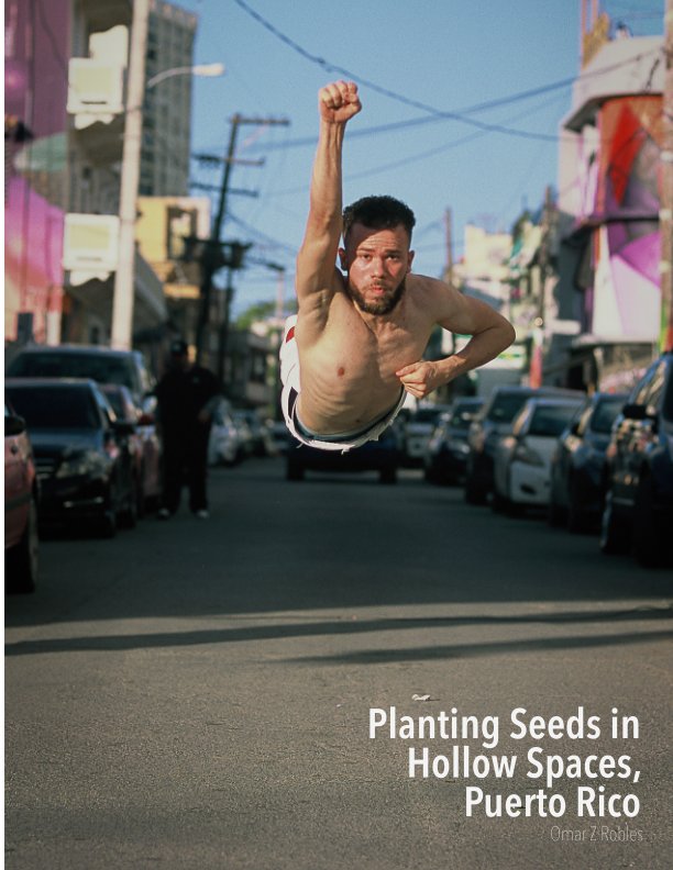 View Planting Seeds in Hollow Spaces by Omar Z Robles