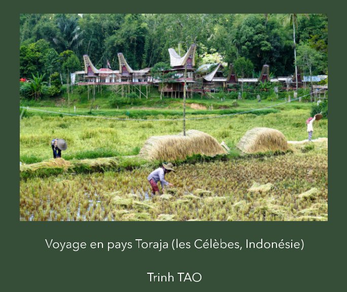 Visualizza Pays Toraja di Trinh TAO