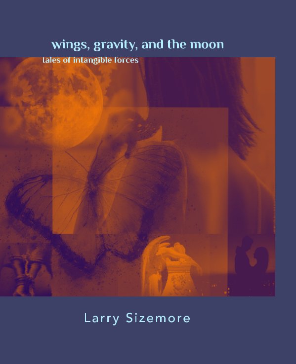 Visualizza Wings Gravity, and the Moon  (8 x 10 Edition) di Larry Sizemore