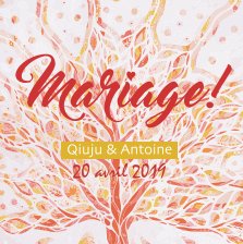 Mariage Q et A book cover