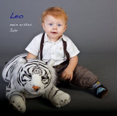 Leo mein erstes Jahr book cover