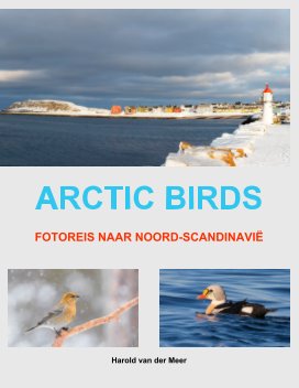 Arctic Birds book cover
