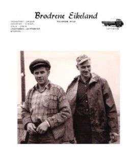 Historien om Brødrene Eikeland book cover