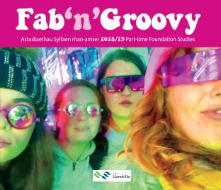 Fab'n'Groovy book cover