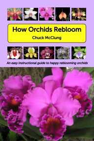 How Orchids Rebloom book cover