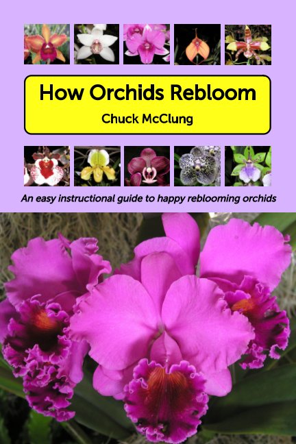 View How Orchids Rebloom by Chuck McClung