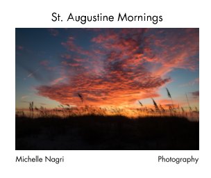 St. Augustine Mornings book cover