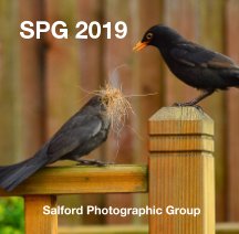 spg 2019 book cover