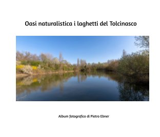 Oasi naturalistica i laghetti di Tolcinasco book cover