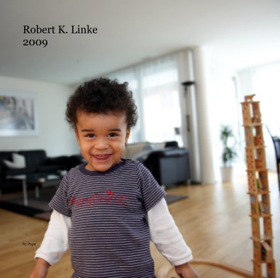 Robert K. Linke 2009 book cover