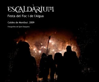 Festa del Foc i de l'Aigua book cover